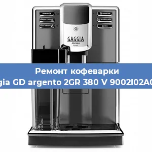 Чистка кофемашины Gaggia GD argento 2GR 380 V 9002I02A0008 от кофейных масел в Нижнем Новгороде